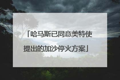 哈马斯已同意美特使提出的加沙停火方案